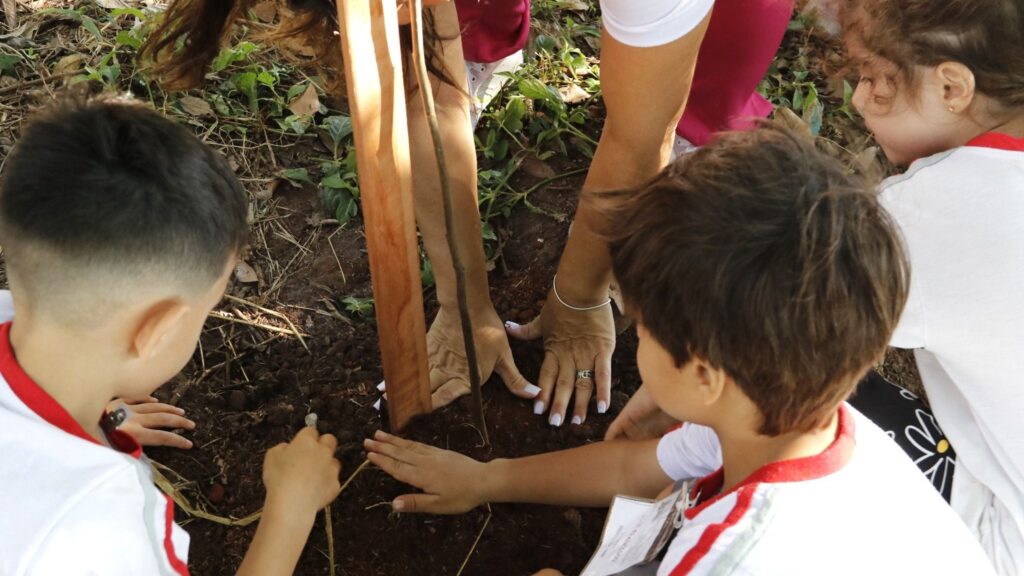 Audiência discute plano de arborização e aponta falta de 128 mil árvores em Rio Preto