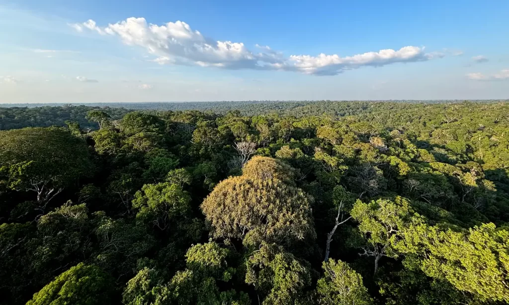 Belém recebe a COP30, Conferência Mundial sobre o clima