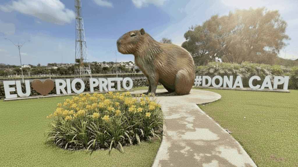 Rio Preto escolhe o nome de sua nova mascote: Dona Capi