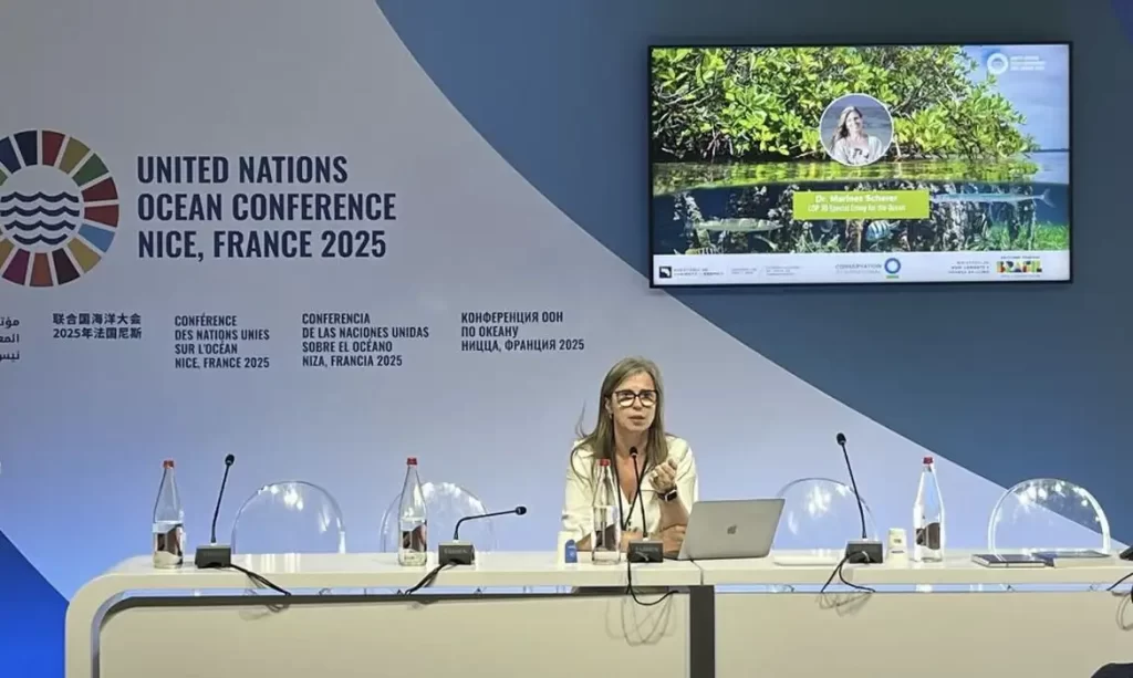 Especialista da COP30 pede mais recursos para proteger os oceanos