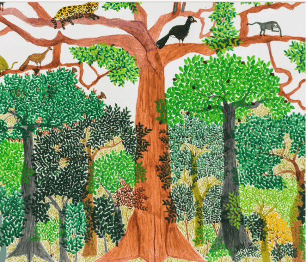 MASP abre exposição póstuma de Abel Rodríguez, mestre da arte amazônica