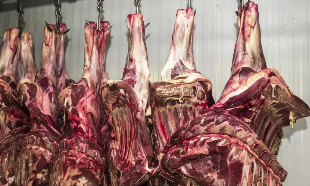 Brasil lidera produção mundial de carne bovina em 2025