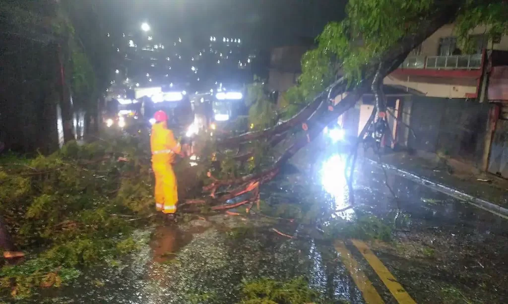 Ciclone deixa 2 milhões sem energia em São Paulo