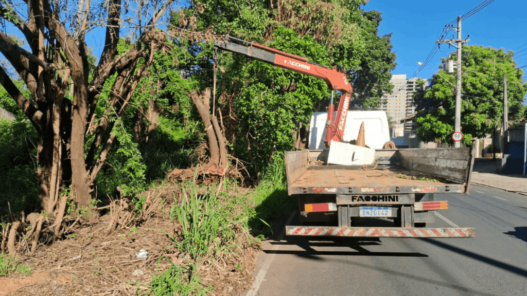 Mutirão da Limpeza atua em escolas e avenida na véspera de Natal