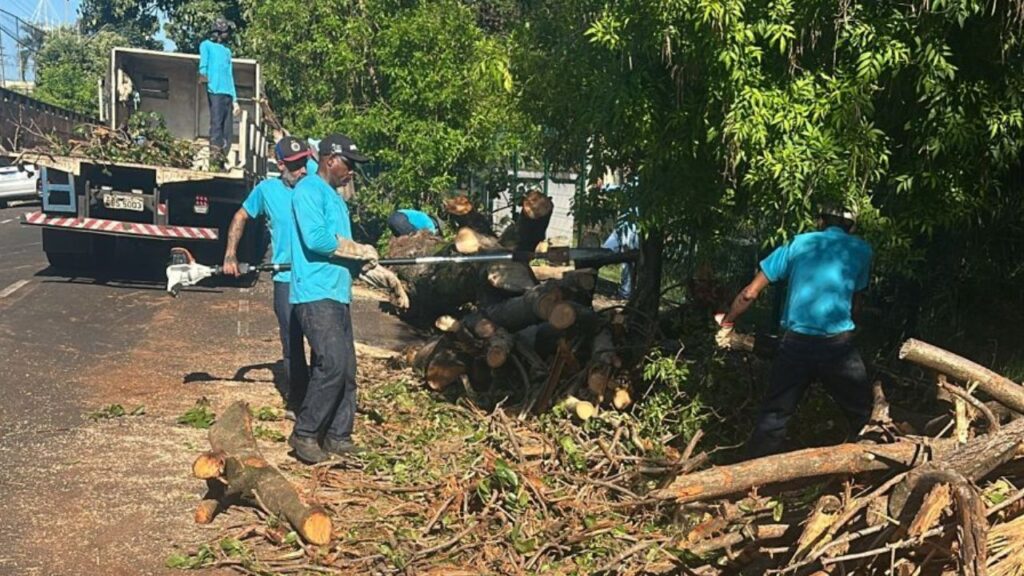 Defesa Civil e Serviços Gerais fazem rescaldo após chuvas em Rio Preto