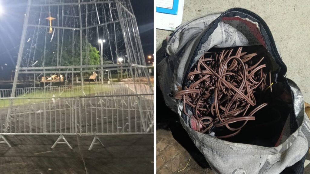 GCM detém homem por furto de fios da decoração natalina