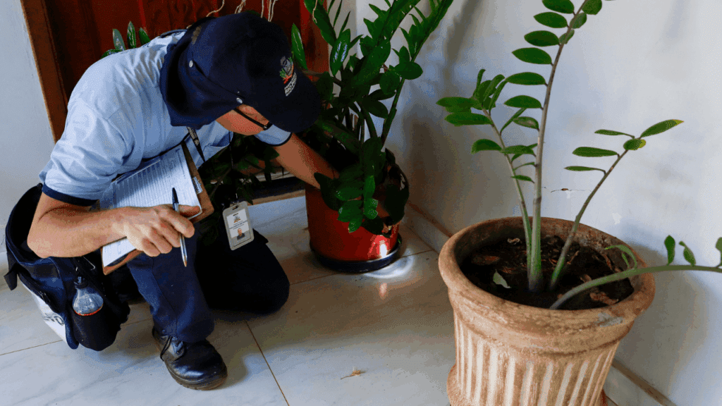 Rio Preto retoma mutirão contra a dengue neste sábado
