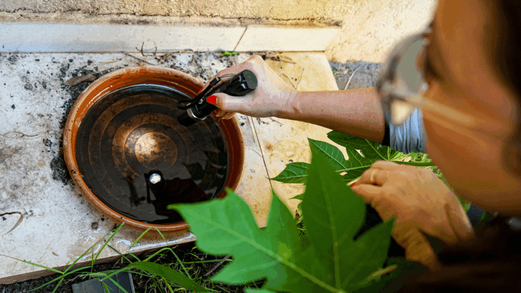 Mutirão contra dengue chega a quatro regiões neste sábado
