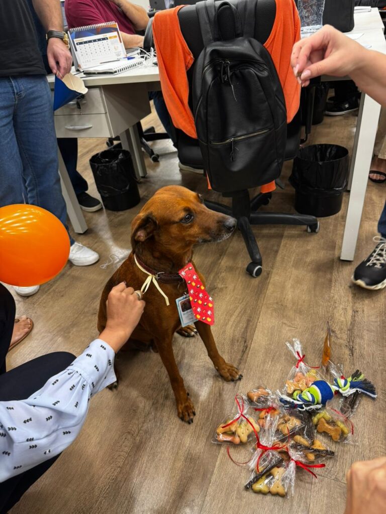 Mascote da GVC ganha festa de aniversário entre colaboradores