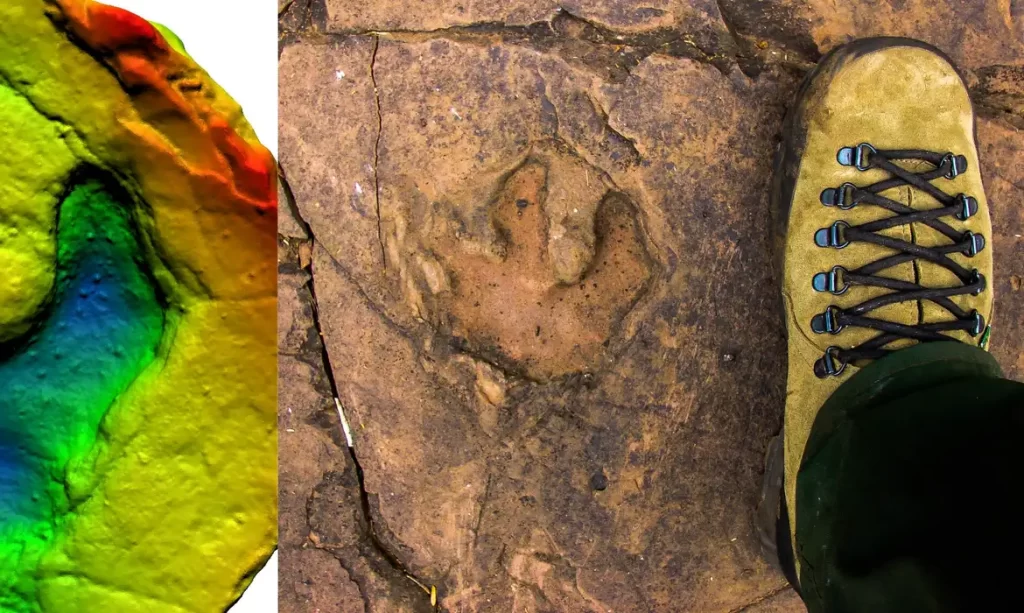 Pegadas de dinossauros são achadas perto dos Jogos de Inverno
