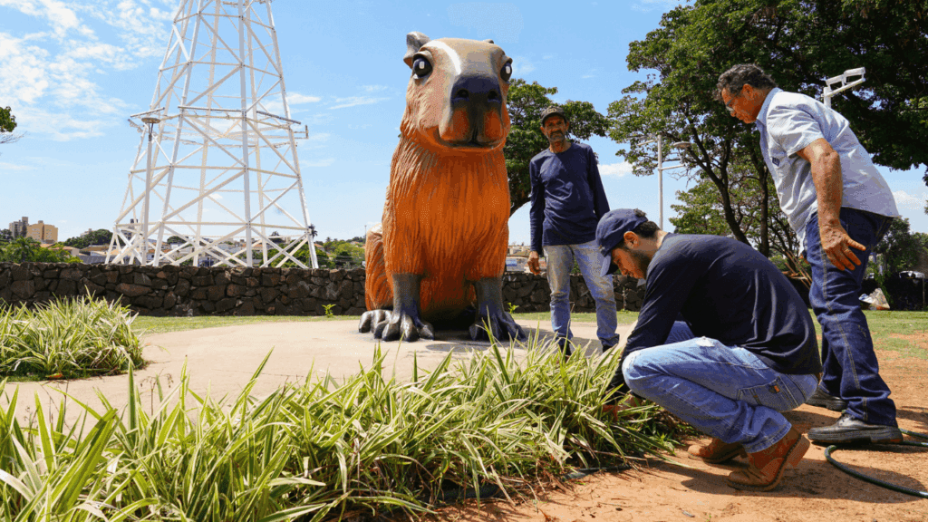 Dona Capi reabre para visitação e terá show aéreo na Represa Municipal