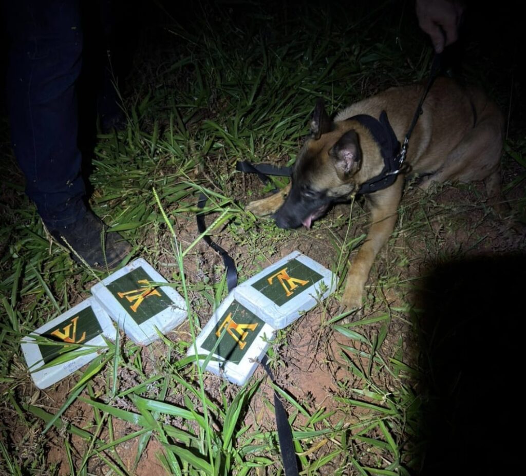 DISE prende homem com drogas enterradas em terreno em Votuporanga