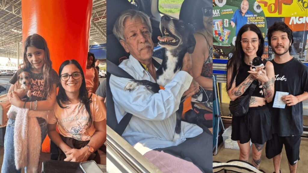 Saúde Animal em Ação faz mais de 160 atendimentos em Rio Preto